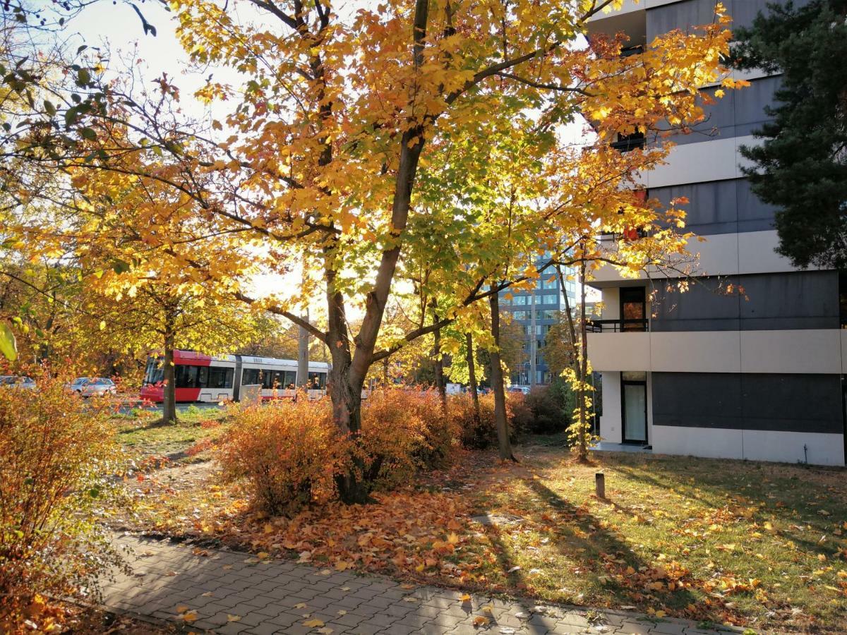 Central-Apt At Lake, Citycenter 5Min, Fair 18Min!!! Nuremberg Exterior photo